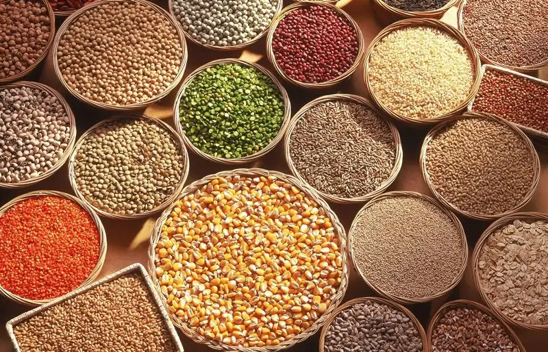 Millet based healthy foods